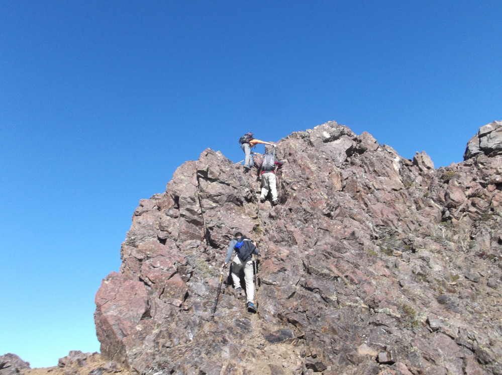 Mt ellinor clearance trail